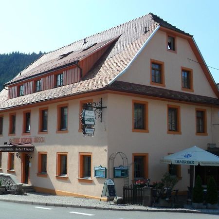 Hotel Hirsch ゼーバハ エクステリア 写真