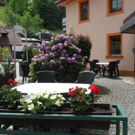 Hotel Hirsch ゼーバハ エクステリア 写真